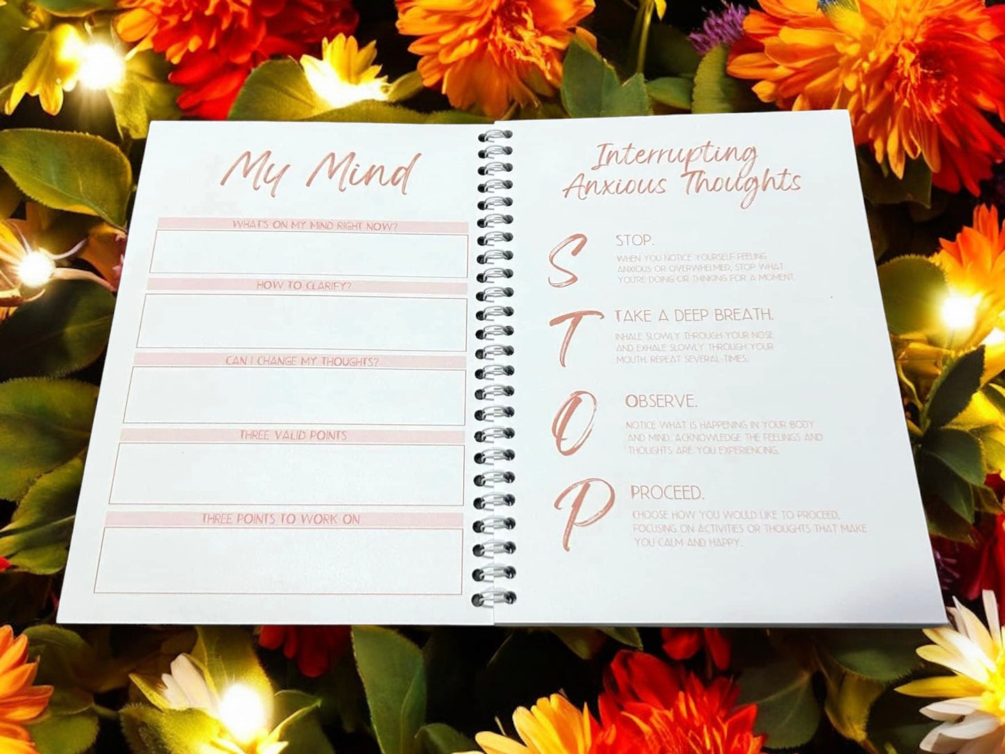 Anxiety Journal